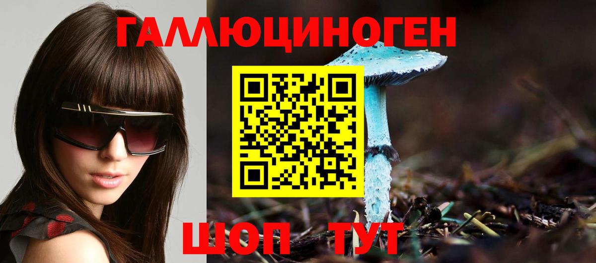 Галлюциногенные грибы Psilocybine cubensis  Вход с VPN  купить   Топки 