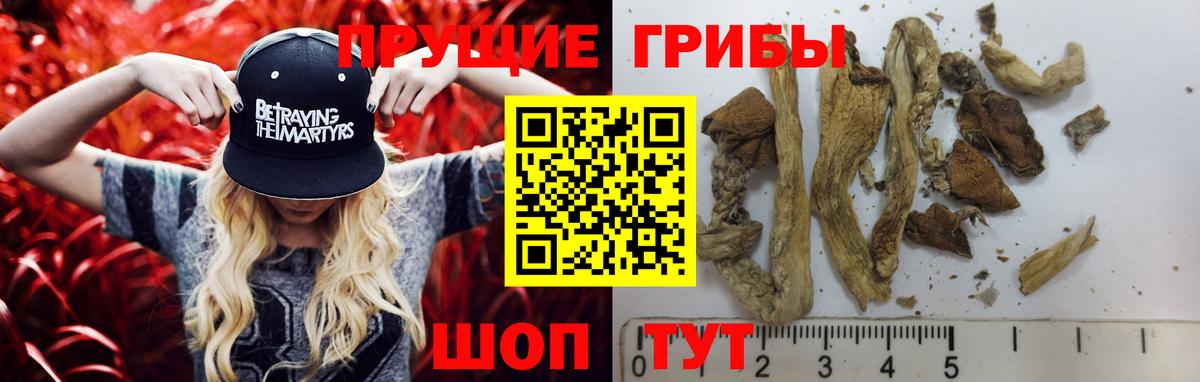 Псилоцибиновые грибы ЛСД Топки